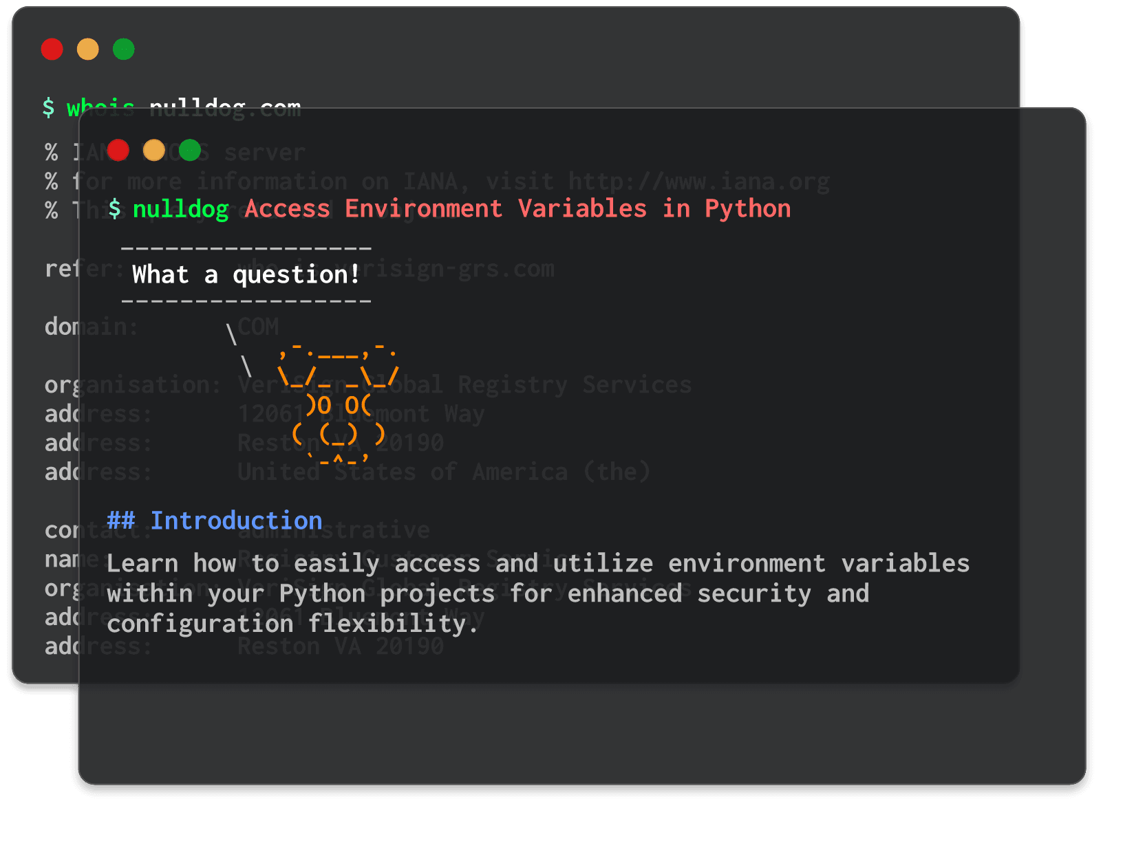 Access Environment Variables in Python 
