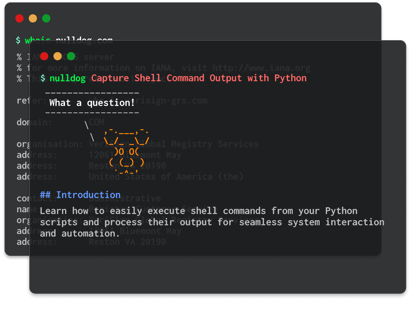 Capture Shell Command Output with Python 
