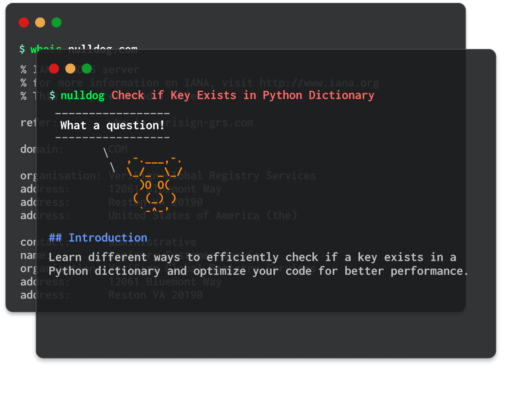 Check if Key Exists in Python Dictionary