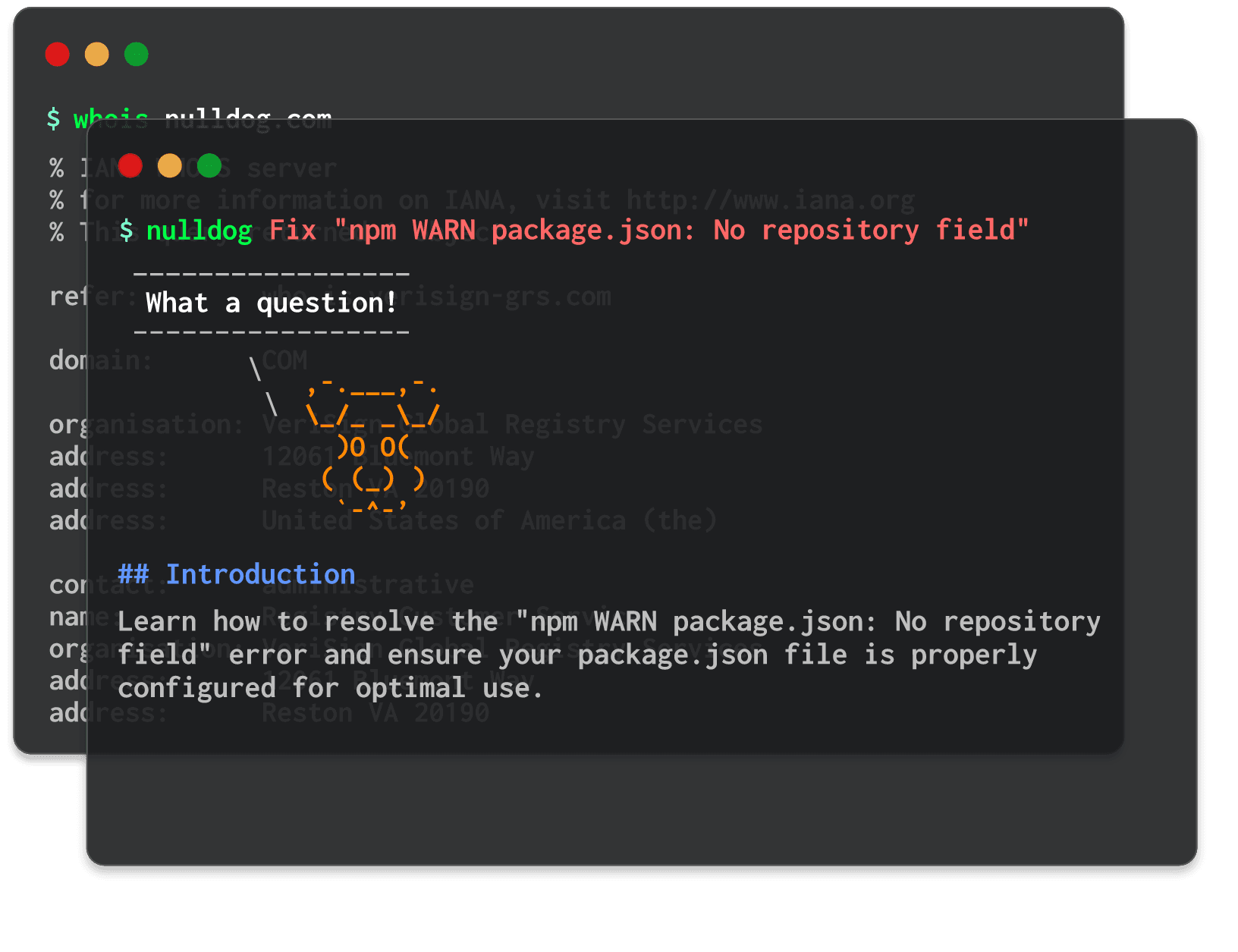 Fix "npm WARN package.json: No repository field" 
