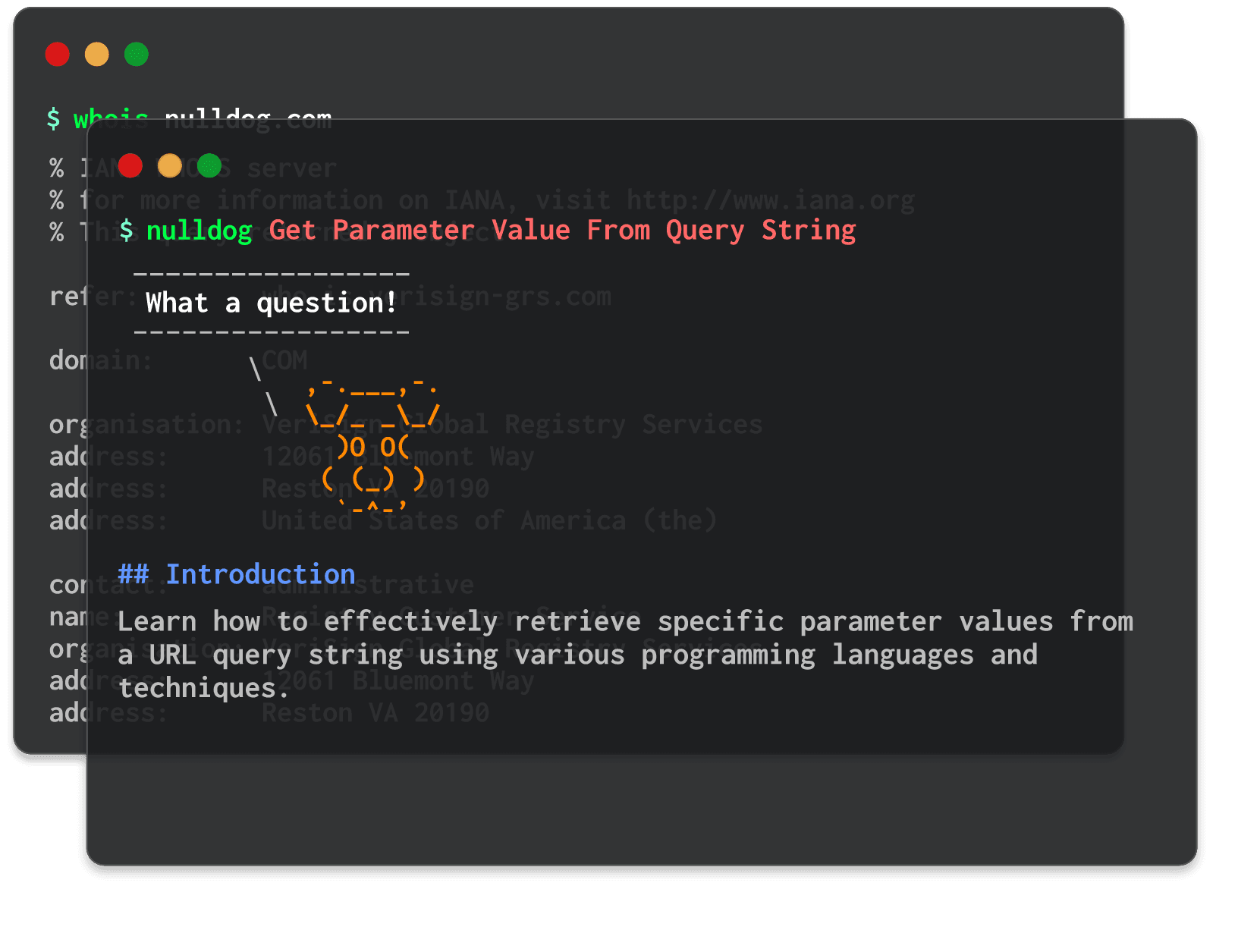 Get Parameter Value From Query String 
