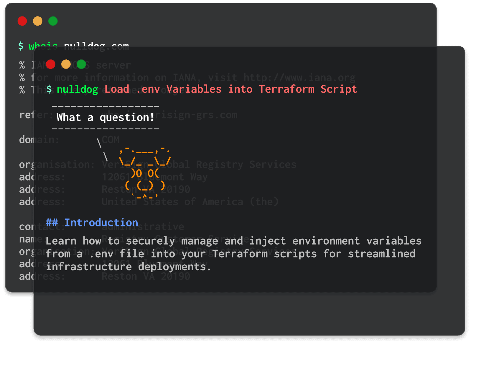 Load .env Variables into Terraform Script 
