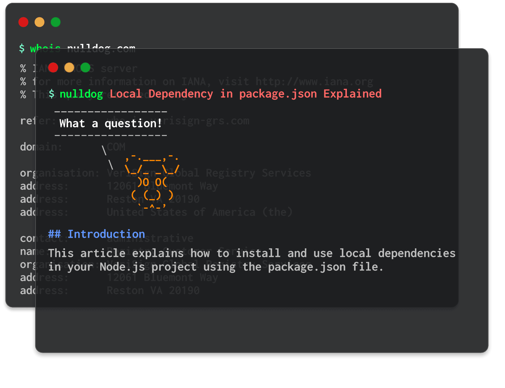 Local Dependency in package.json Explained 
