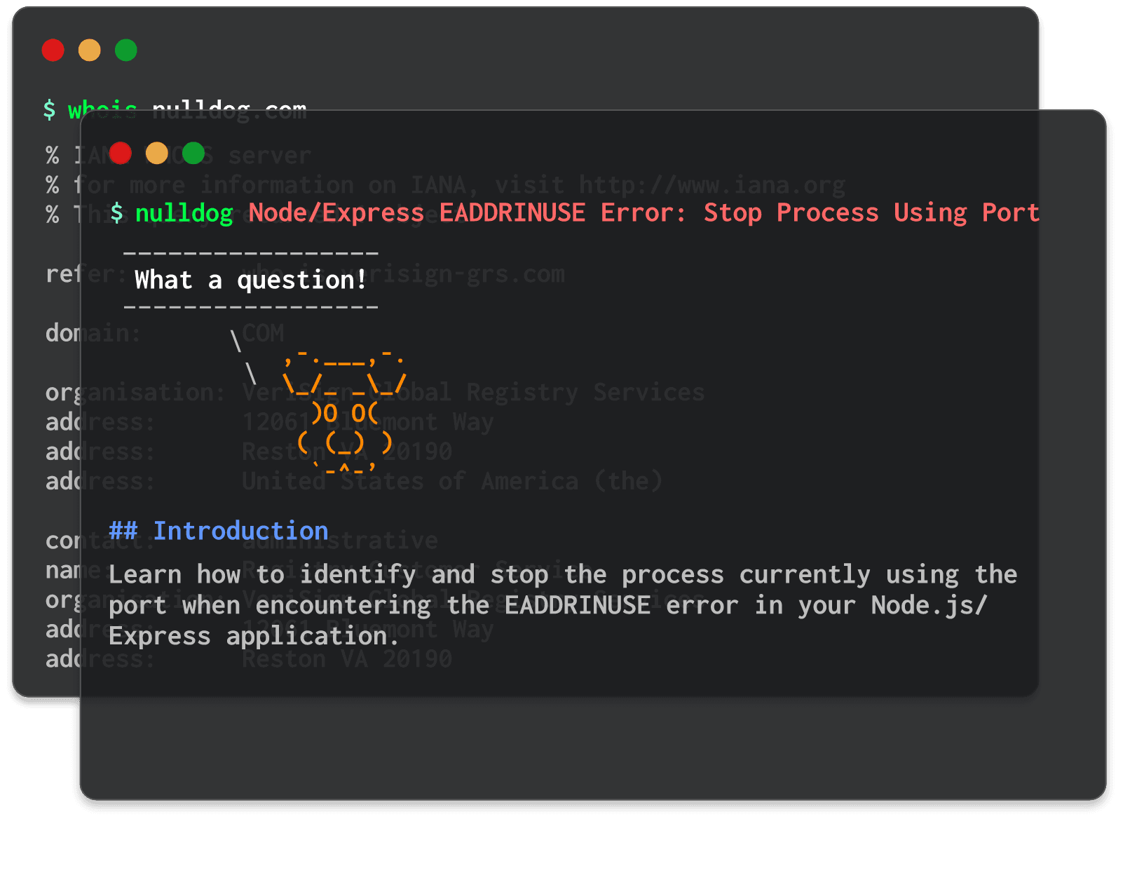 Node/Express EADDRINUSE Error: Stop Process Using Port 
