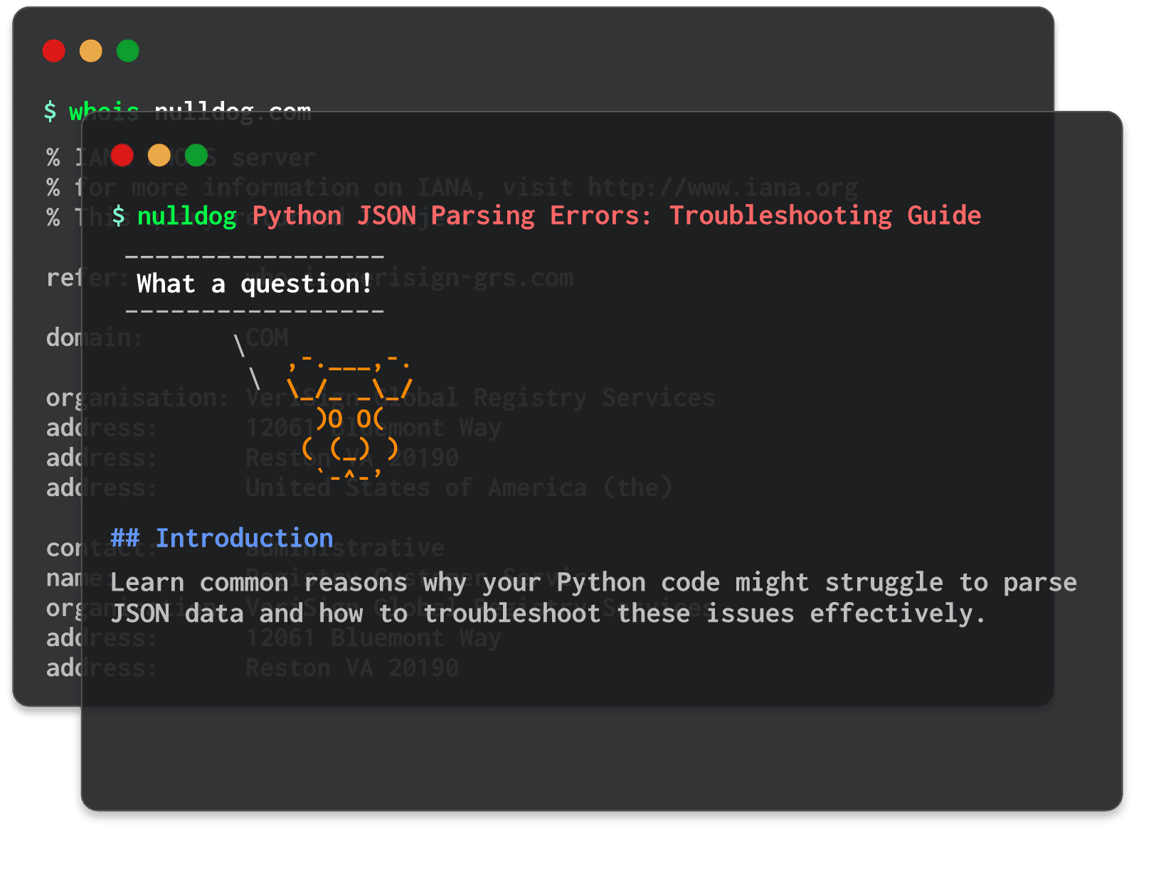 Python JSON Parsing Errors: Troubleshooting Guide 
