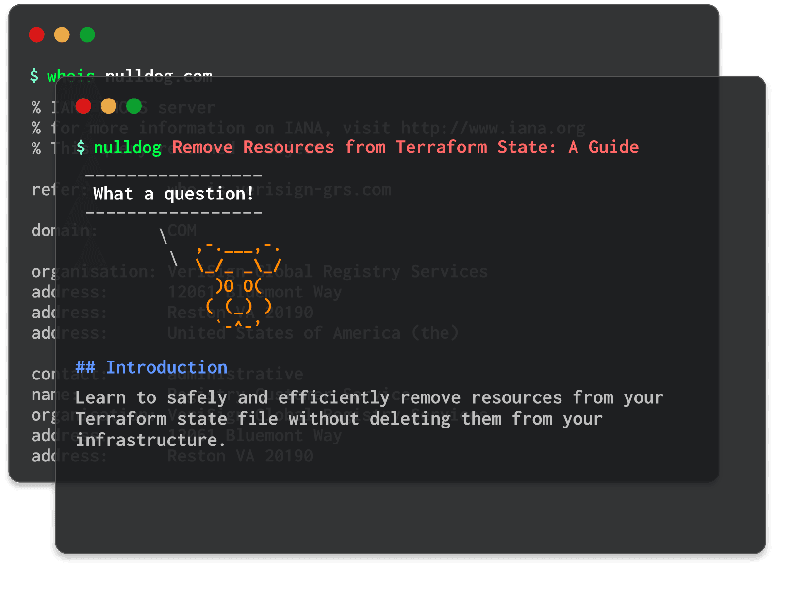 Remove Resources from Terraform State: A Guide 
