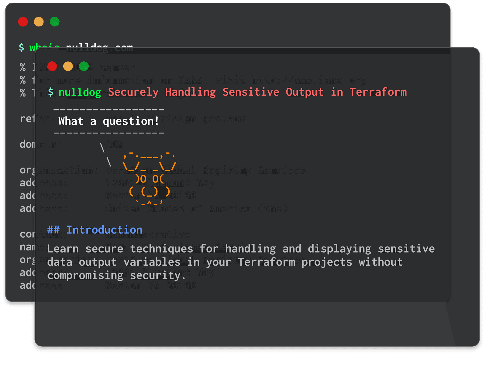 Securely Handling Sensitive Output in Terraform 
