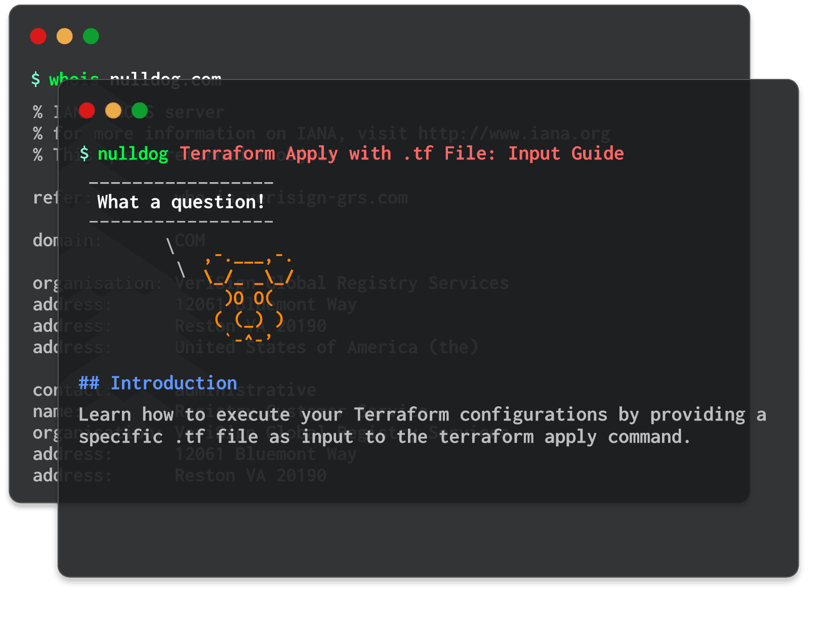 Terraform Apply with .tf File: Input Guide 
