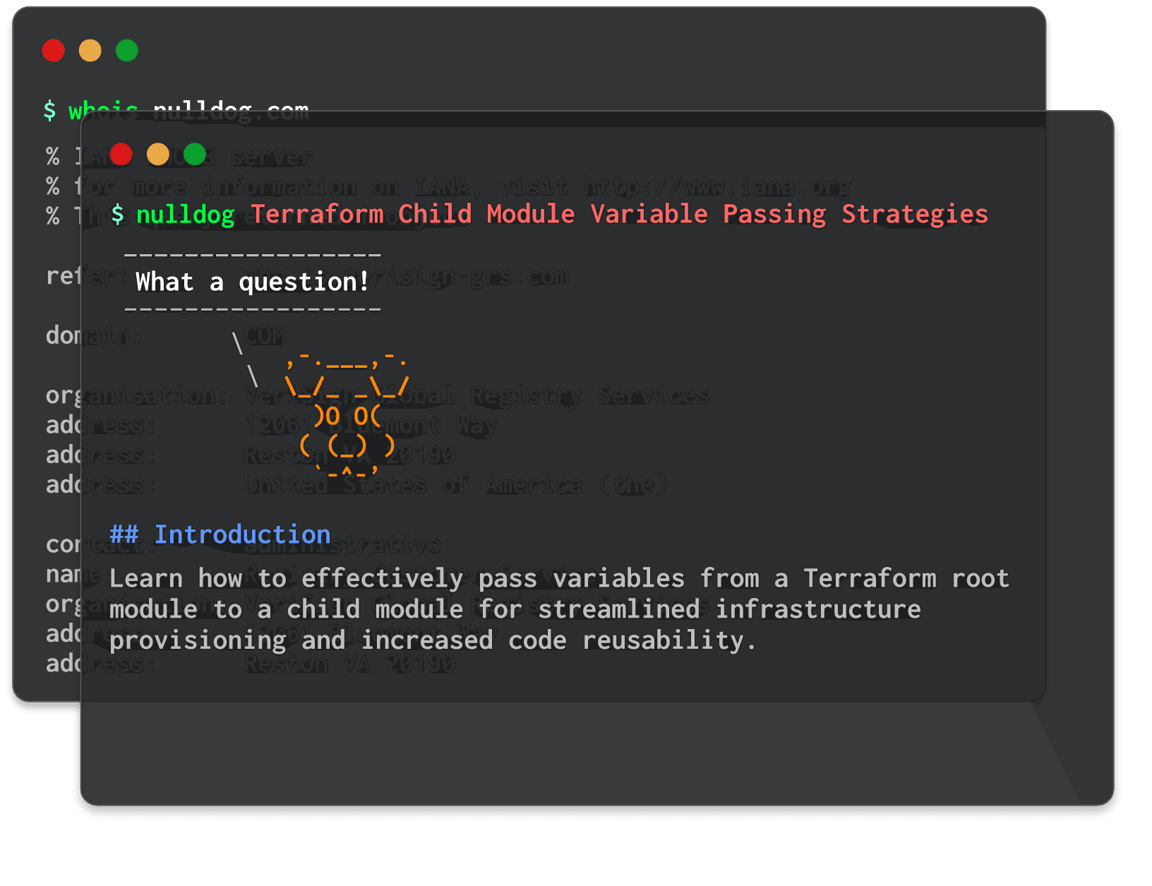 Terraform Child Module Variable Passing Strategies 
