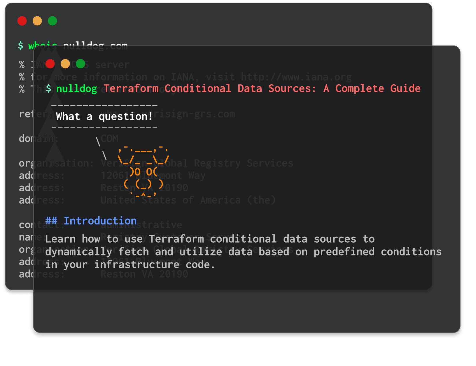 Terraform Conditional Data Sources: A Complete Guide 
