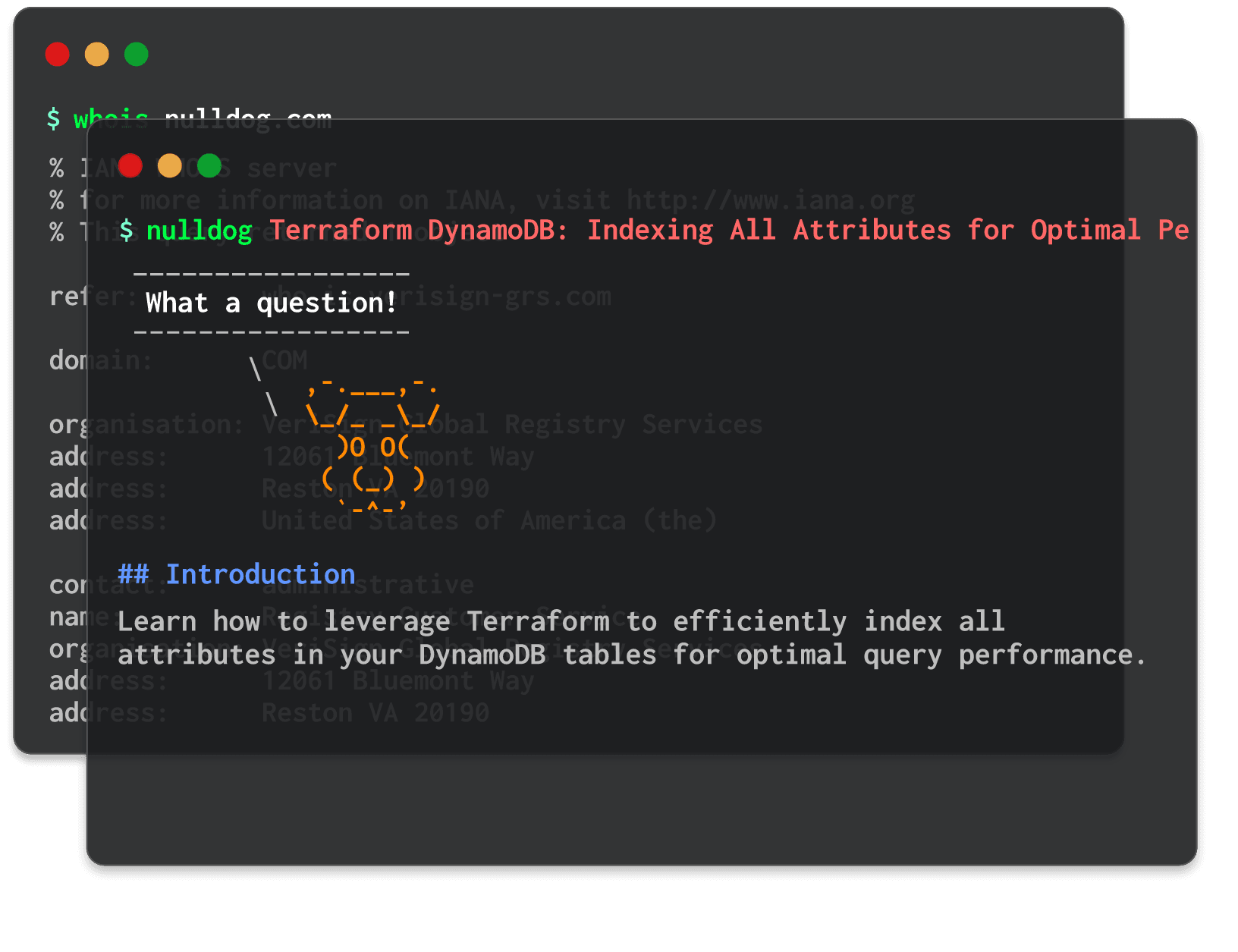 Terraform DynamoDB: Indexing All Attributes for Optimal Performance 
