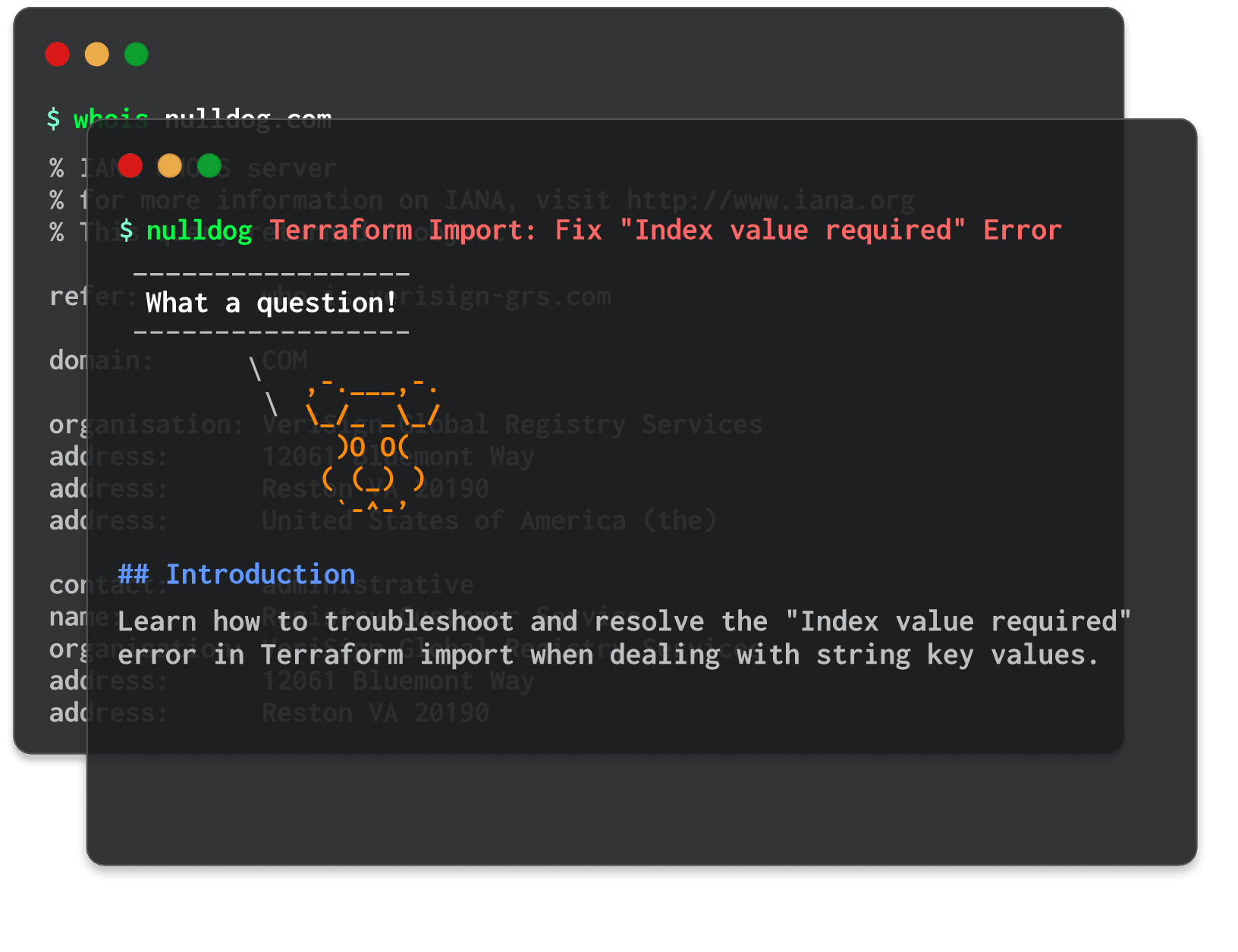 Terraform Import: Fix "Index value required" Error 
