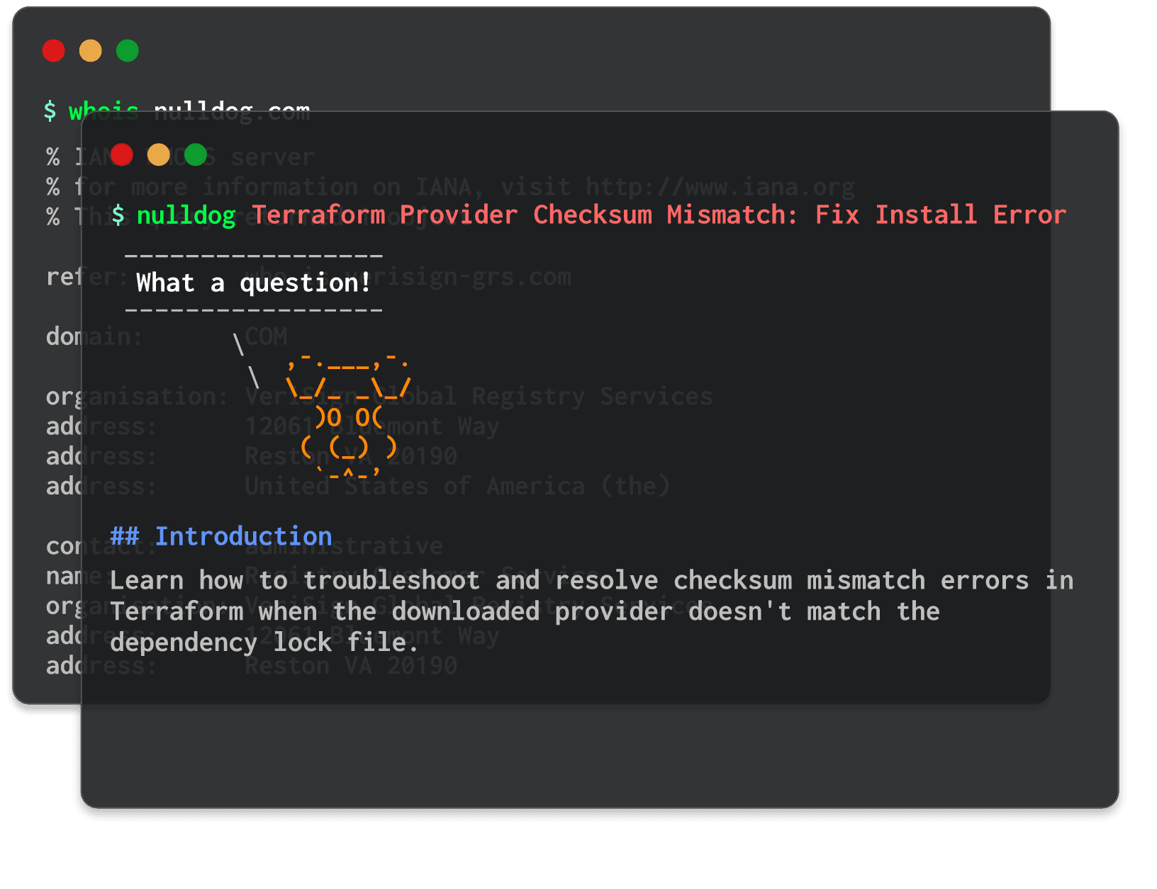 Terraform Provider Checksum Mismatch: Fix Install Error 
