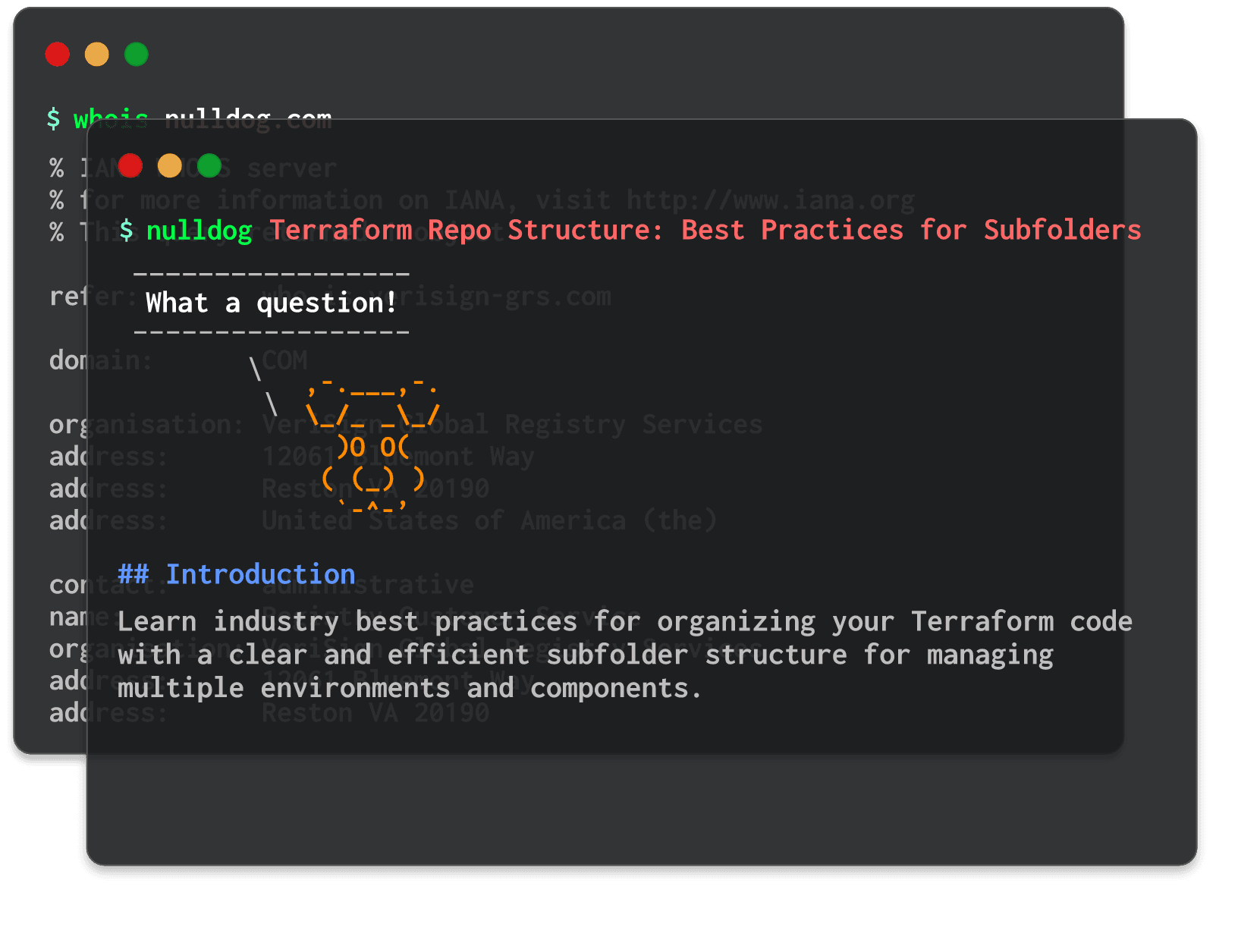 Terraform Repo Structure: Best Practices for Subfolders 
