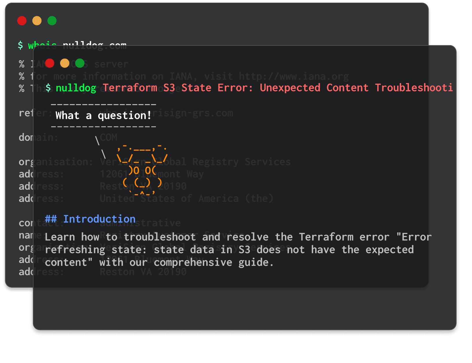 Terraform S3 State Error: Unexpected Content Troubleshooting 
