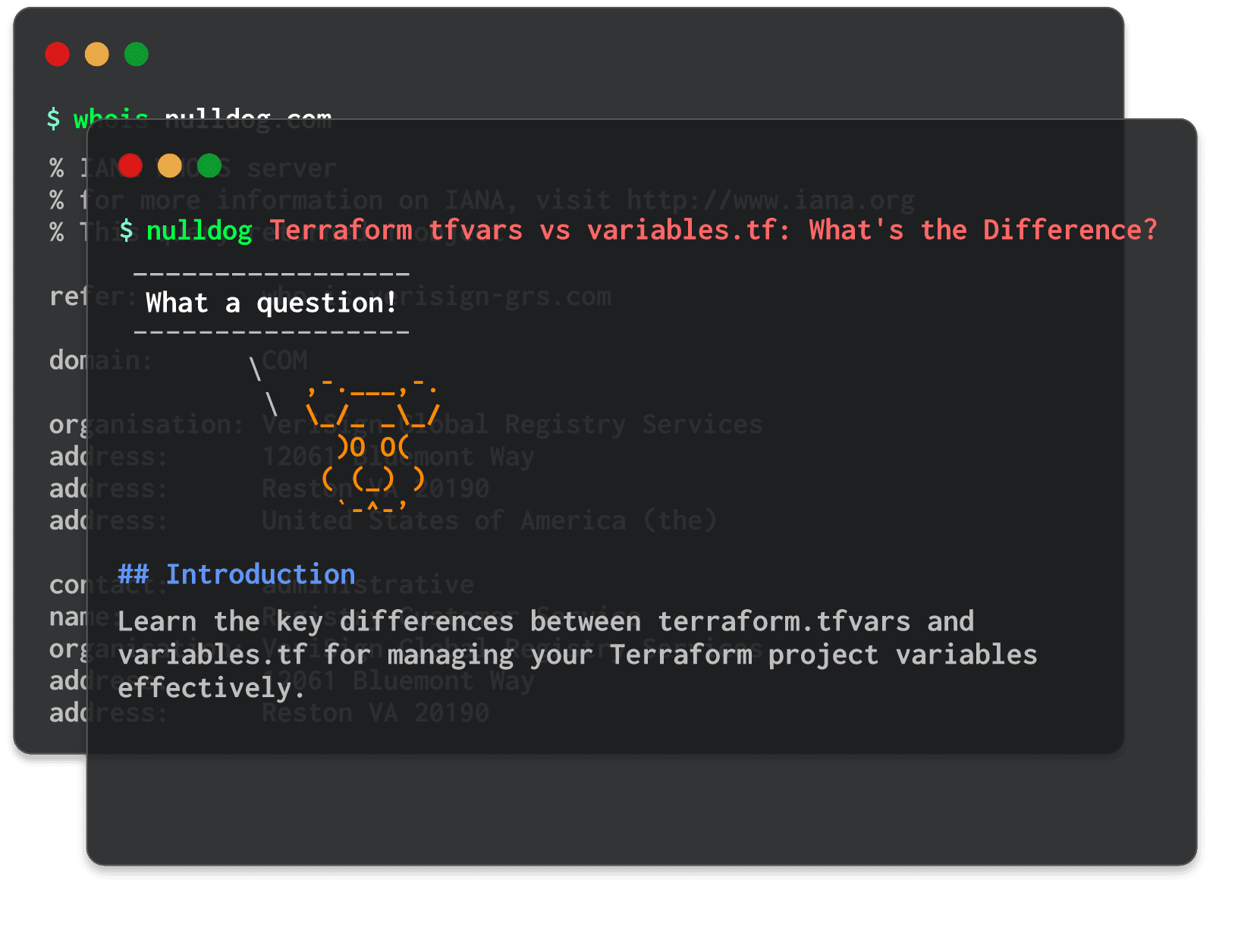 Terraform tfvars vs variables.tf: What's the Difference? 
