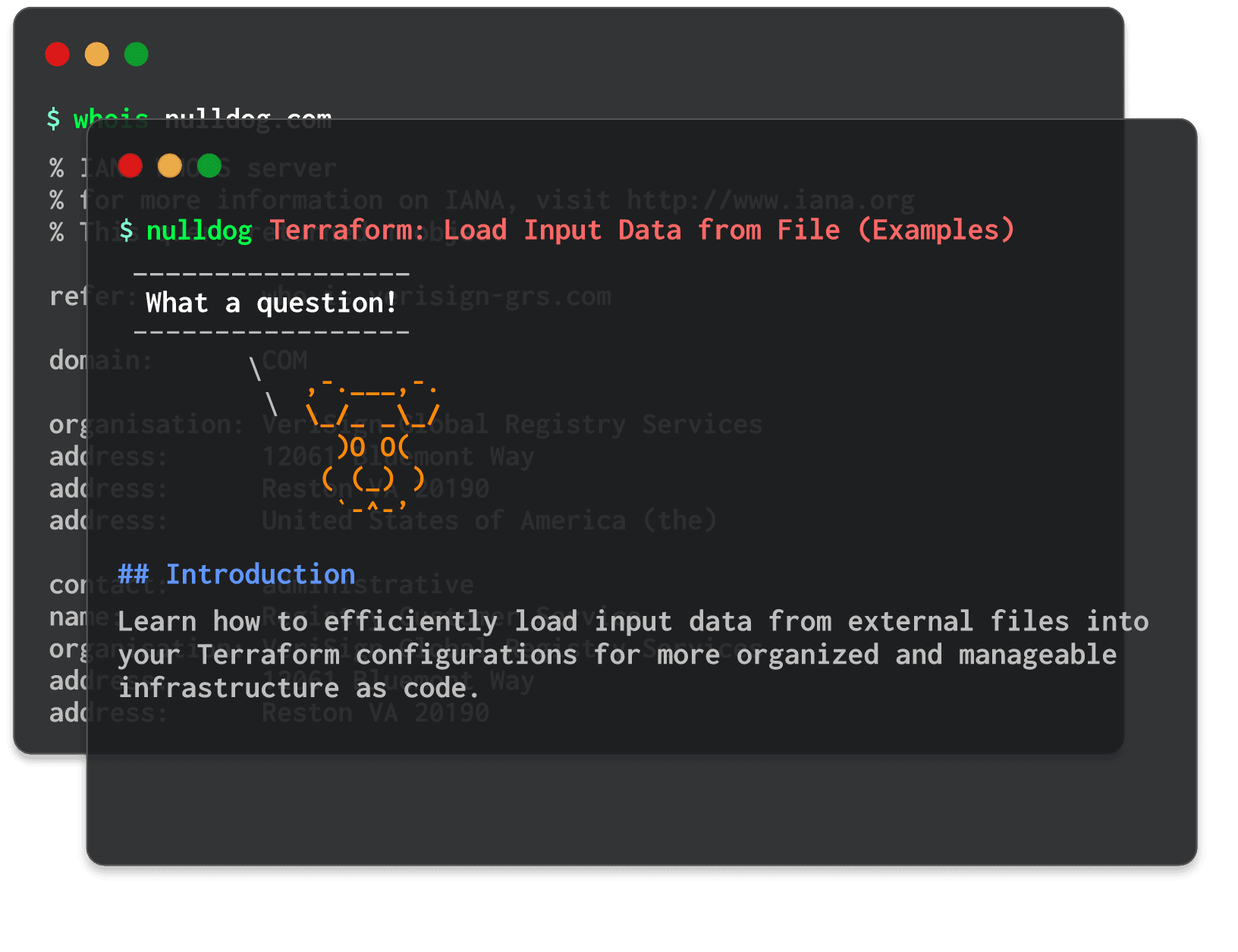 Terraform: Load Input Data from File (Examples) 
