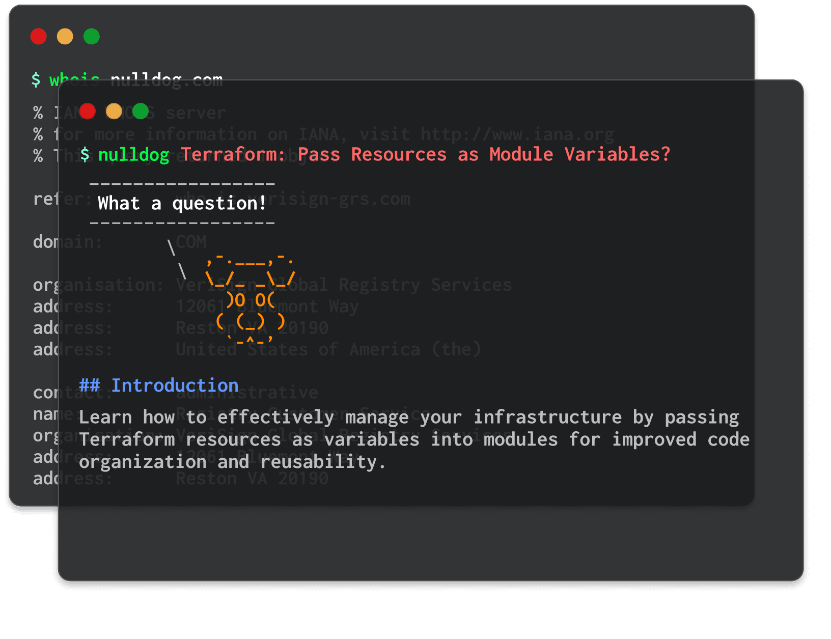 Terraform: Pass Resources as Module Variables? 
