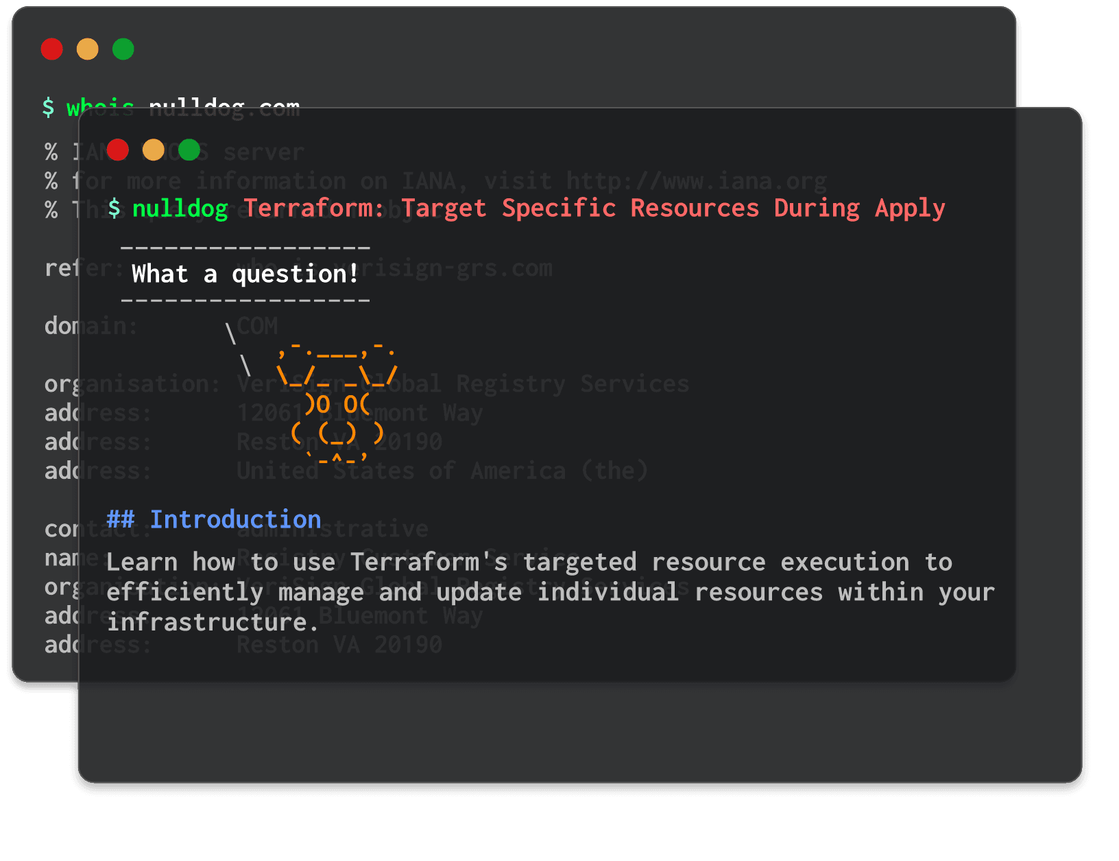 Terraform: Target Specific Resources During Apply 
