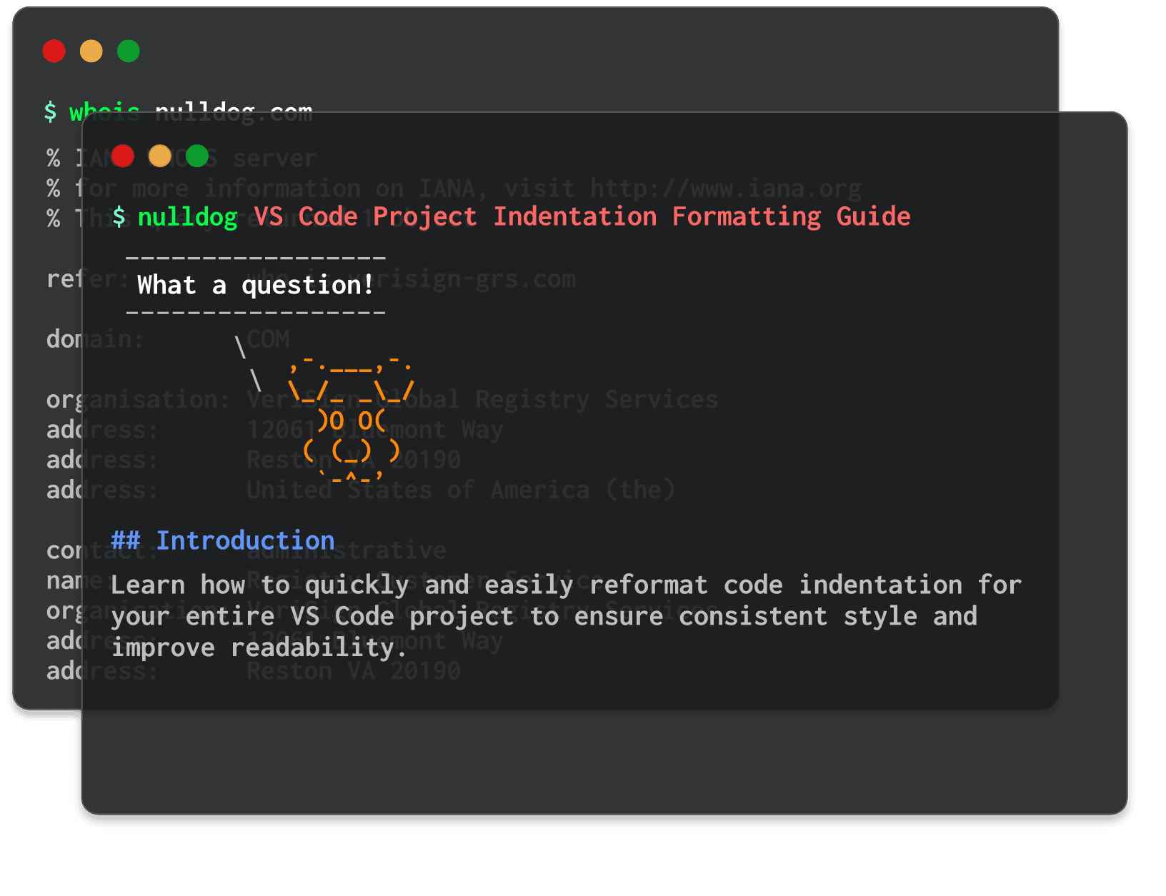 VS Code Project Indentation Formatting Guide 
